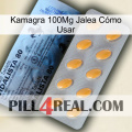 Kamagra 100Mg Jalea Cómo Usar 44